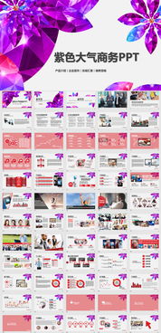 專業營銷與高效匯報 產品介紹與工作總結PPT模板